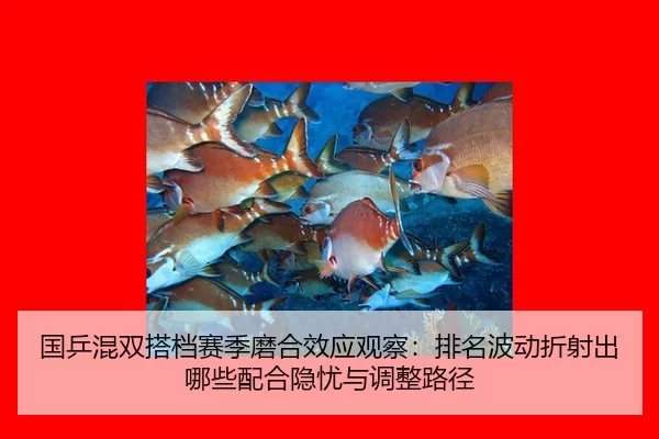 国乒混双搭档赛季磨合效应观察：排名波动折射出哪些配合隐忧与调整路径